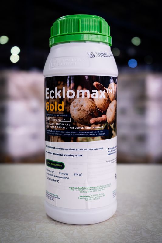 Ecklomax Gold