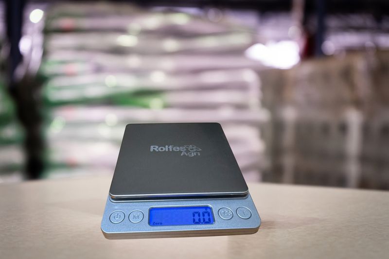 Digital Platform Scale
