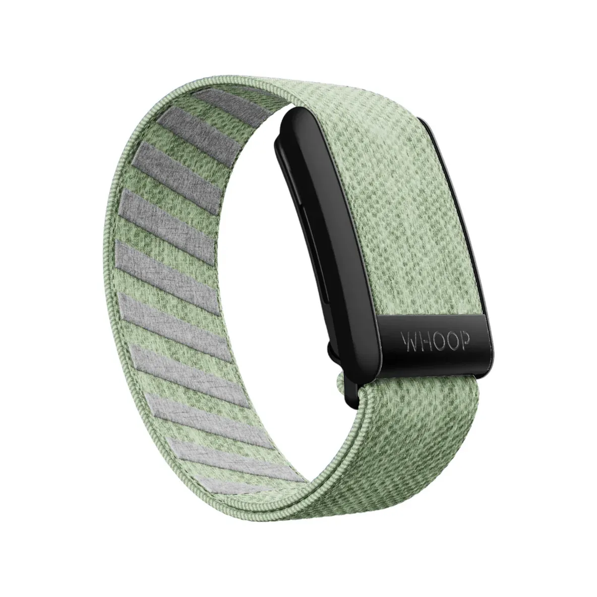 Eucalyptus SuperKnit Band Black Hook - Special Edition