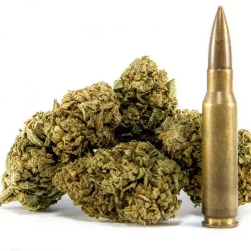 CBD Buds AK-47
