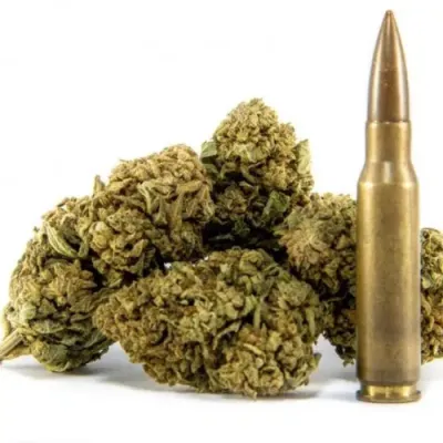 CBD Buds AK-47