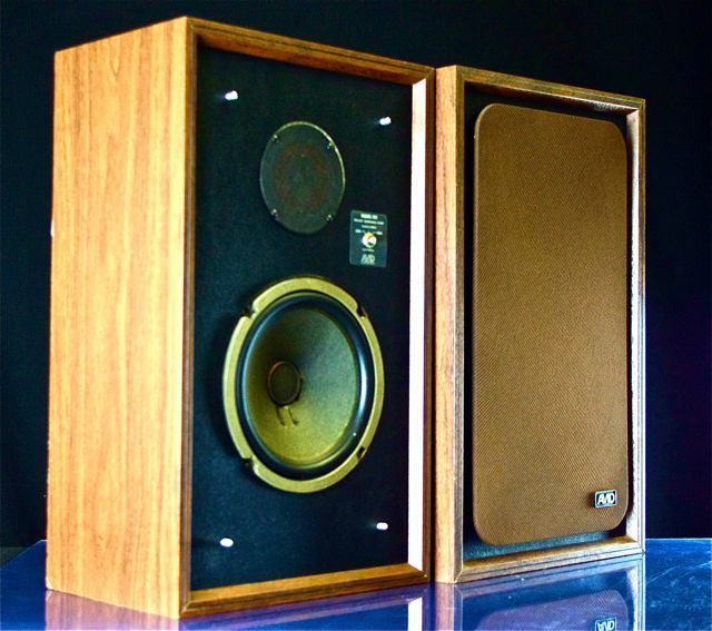AVID MODEL 100