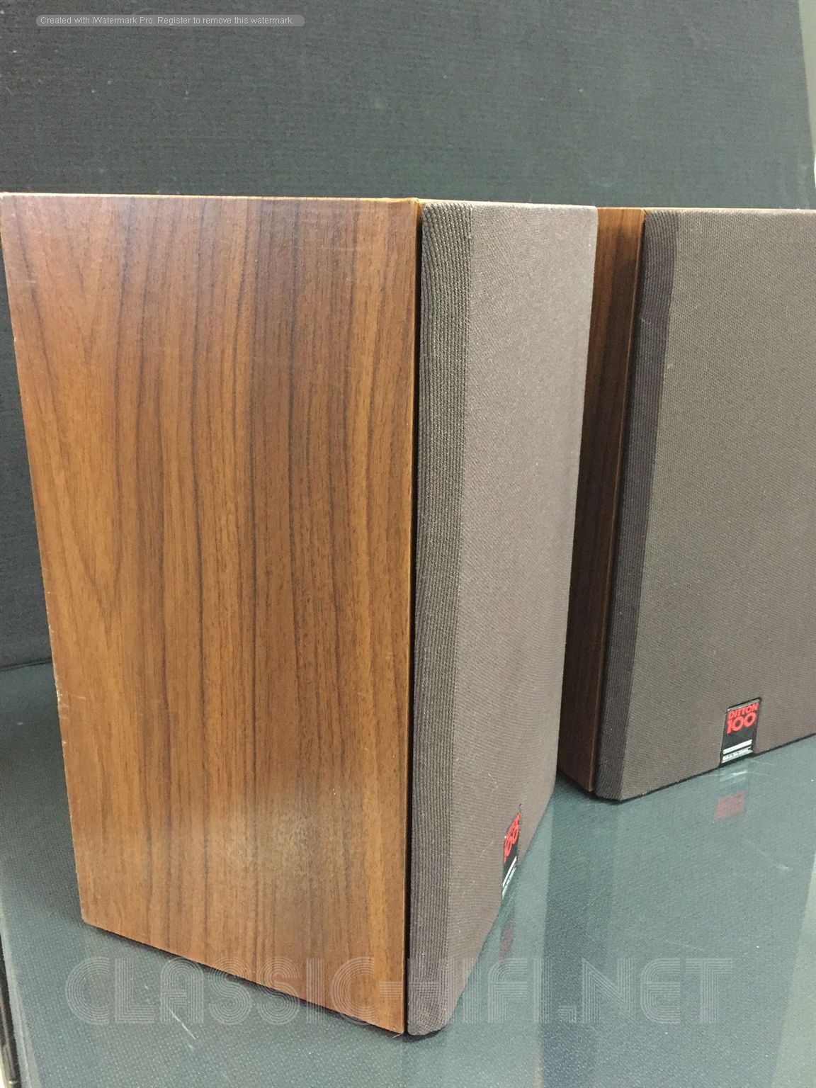 CELESTION DITTON 100