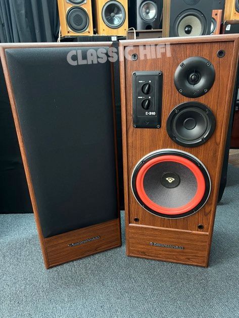 CERWIN VEGA E-310 SPEAKERS
