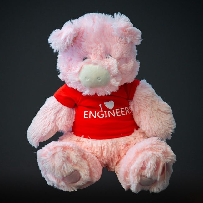 Stuffed Animal Pig 12&quot; w/ &quot;I Love Engineers&quot; Tee