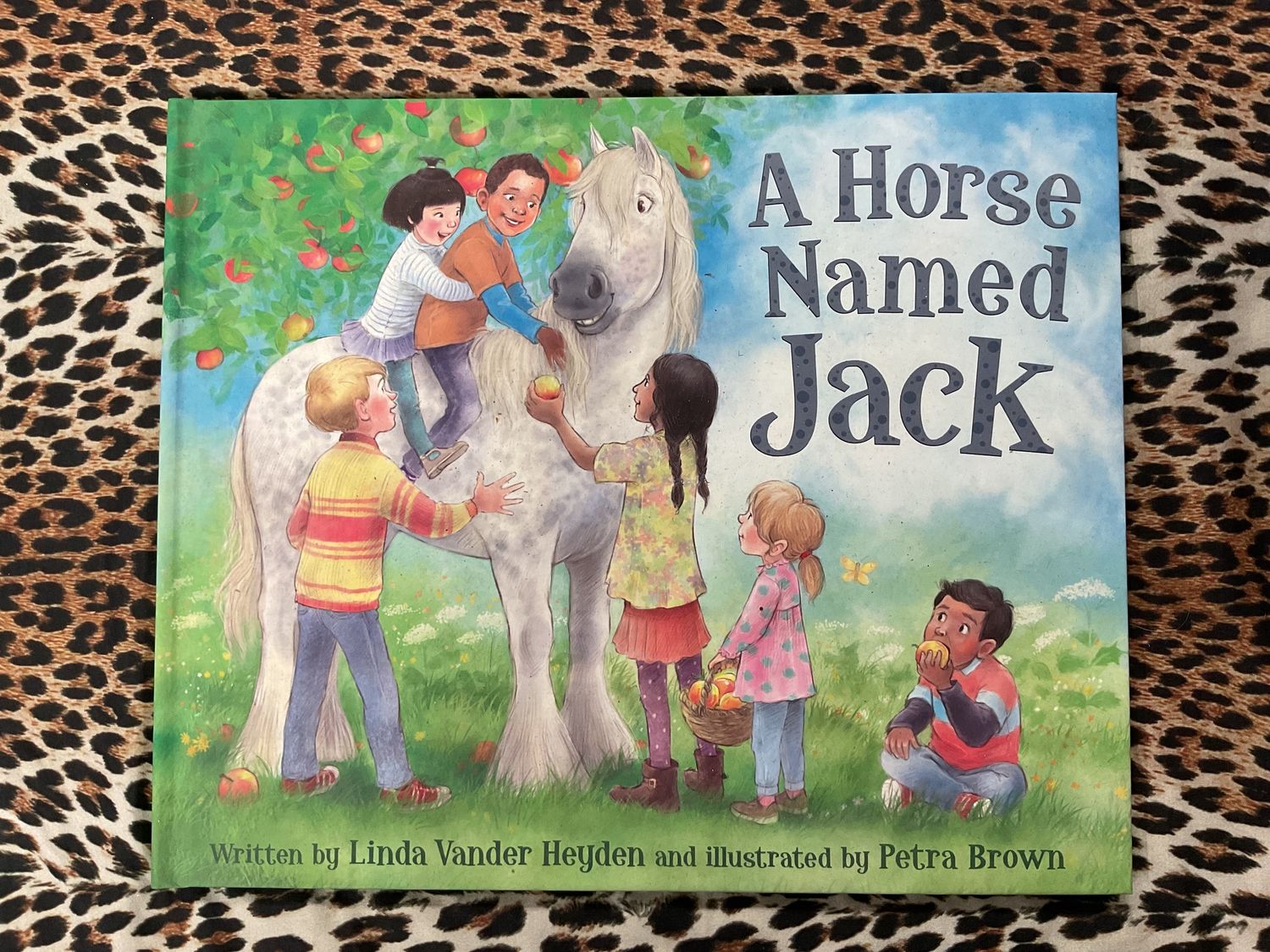A horse named Jack