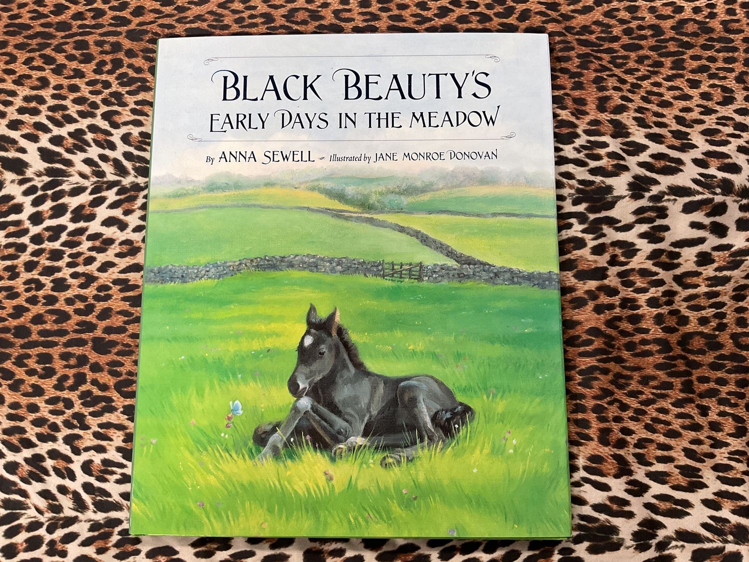 Black Beauty&#39;s early days
