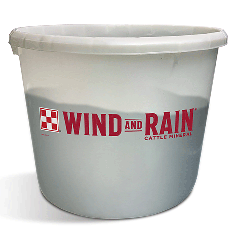 Wind &amp; Rain 4 min tub
