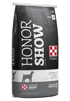 HS SHOW GOAT GR 17P DX