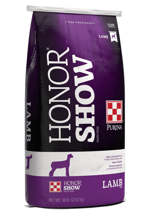 HS Showlamb Stretch 17 TXT DX