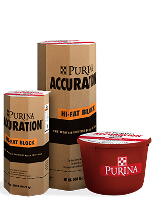 Purina ® Accuration ® Hi-Fat Block - Cattle