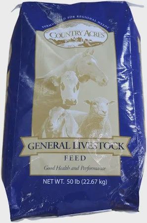 All Stock Feed