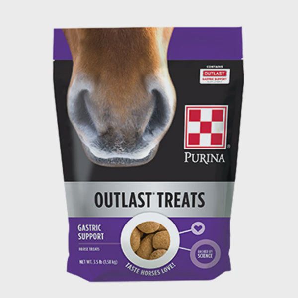 Purina Outlast Horse Treats
