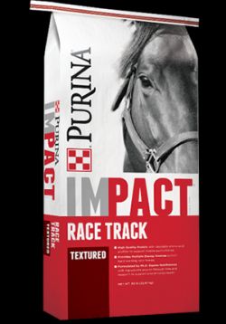 Impact Racetrack