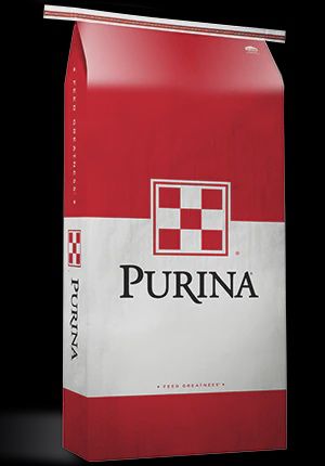 Cattle Developer Purina