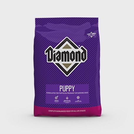 Diamond Puppy