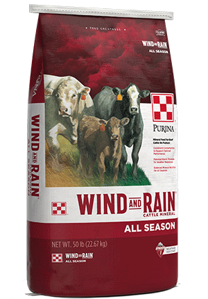 Wind &amp;Rain All Season 12