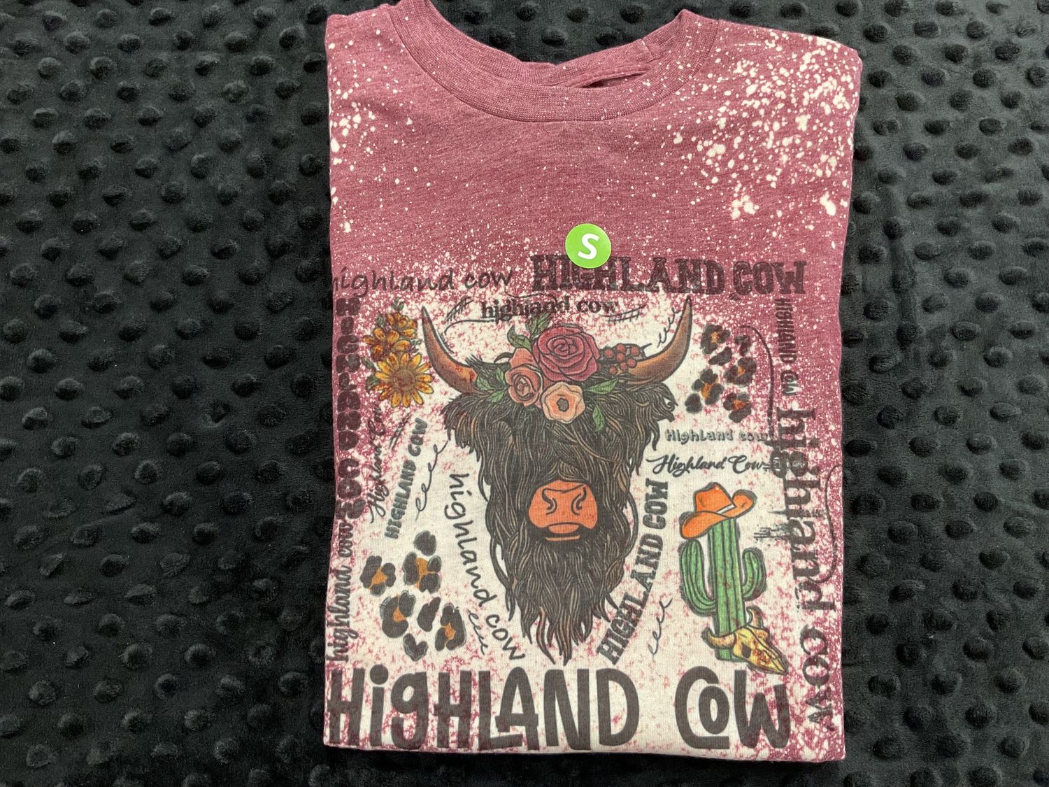 Highland cow