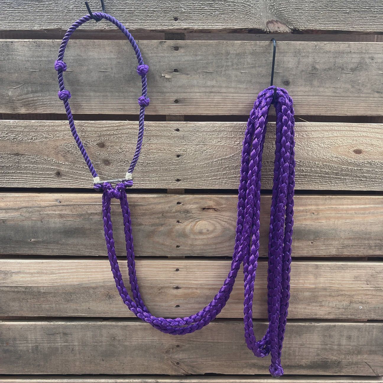 Lariat hackamore and double reins-purple
