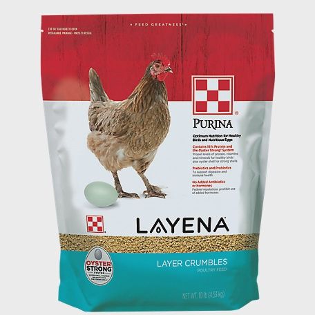 Purina Layana  Oyster