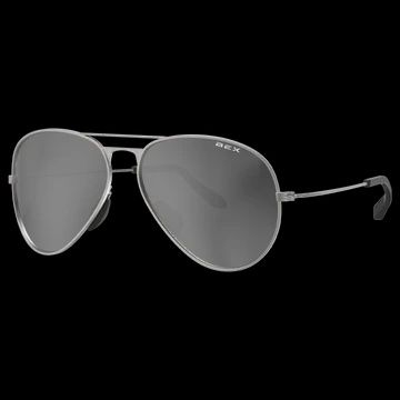 Wesley brushed silver glasses