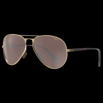 Wesley X gold/brown glasses