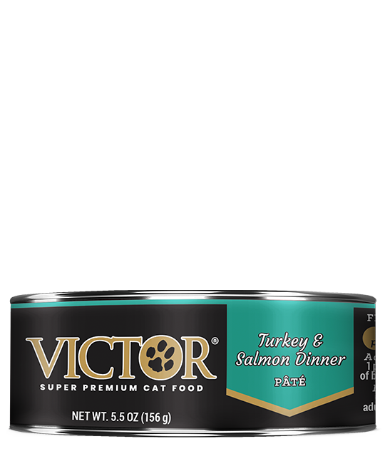 Victor Cat TKY/SLM PATE