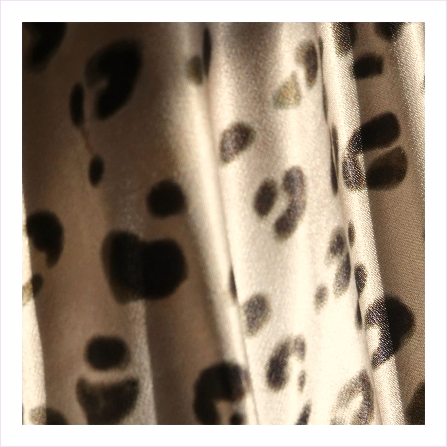 Rails Gabriella Dress