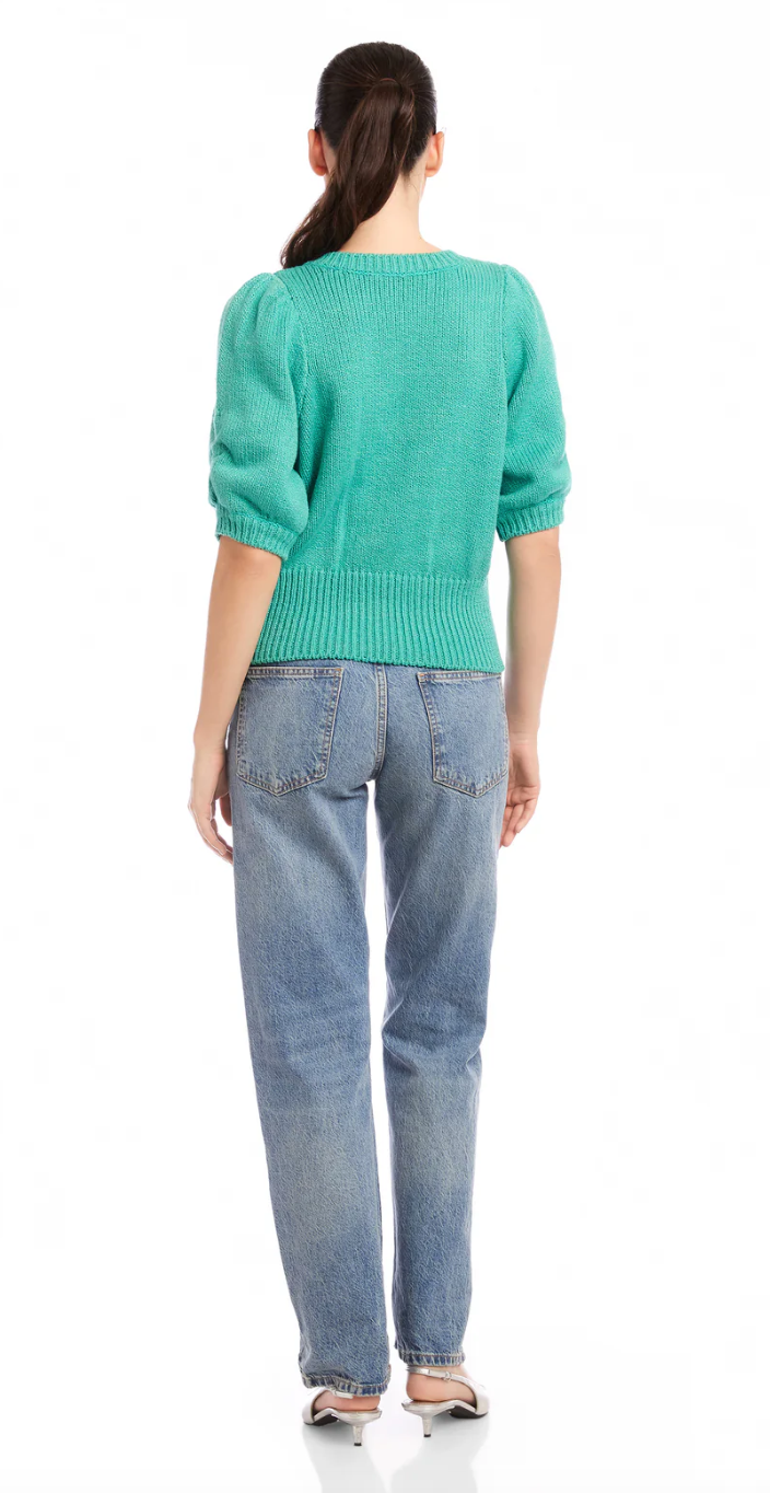 Fifteen Twenty Bennet Shirred Sleeve Sweater