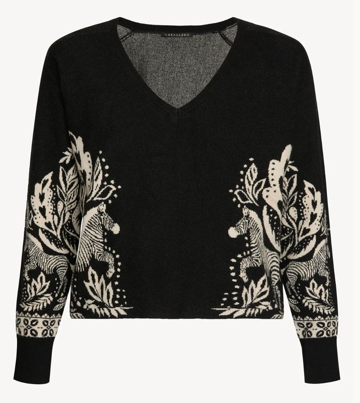 Caballero Krista Sweater In Zebra Fern