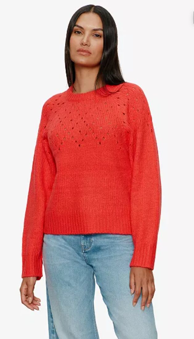 Sanctuary Femme Openwork Sweater