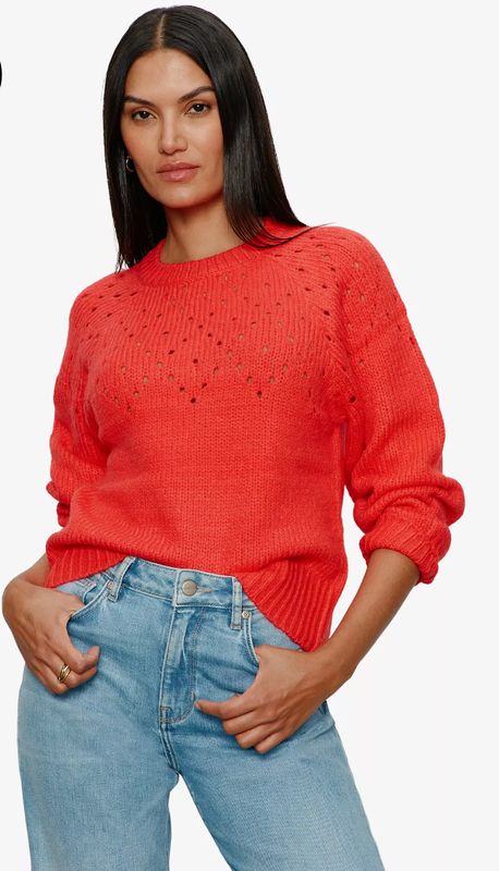 Sanctuary Femme Openwork Sweater