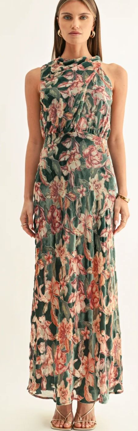 Veda Burnout Velvet Draped Maxi Dress