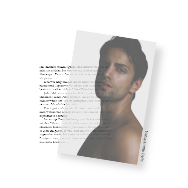 Pageoverlay Armand (Blood Consort)