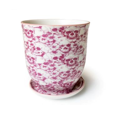 Skull Porcelain Pot and Saucer