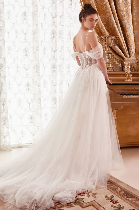 WN307 CINLL