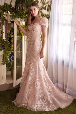 A1025 CINLL