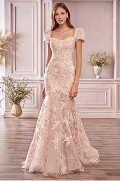A1025 CINLL
