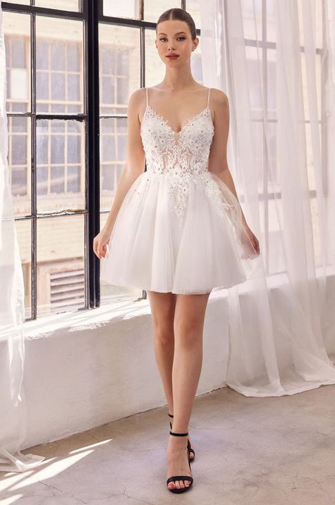 SF047 CINLL