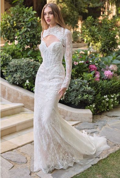WL071 CINLL