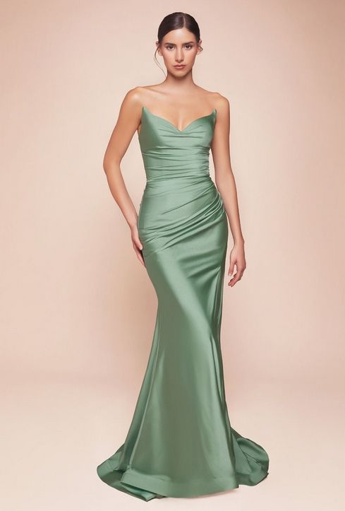 CD791 CINLL