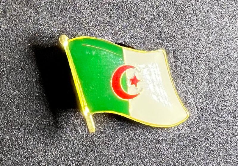 Algeria pin