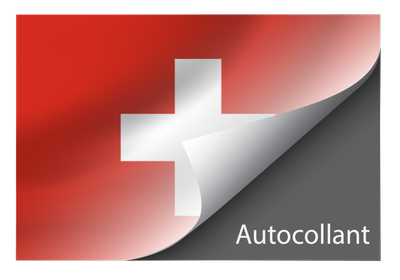 Standard Switzerland sticker