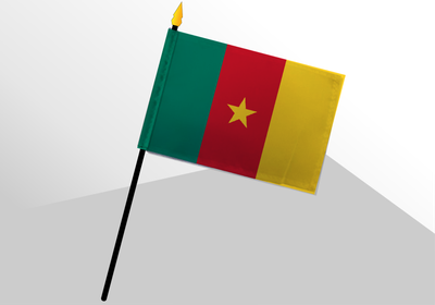 Cameroon small standard flag 4x6