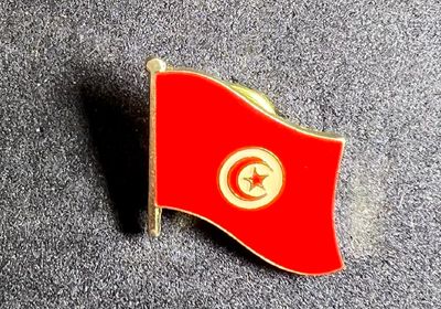 Tunisia pin