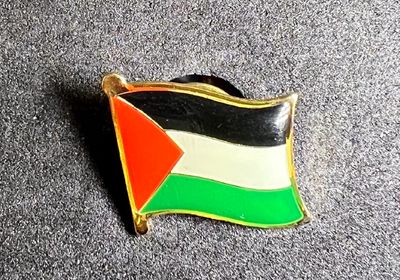 Palestine pin