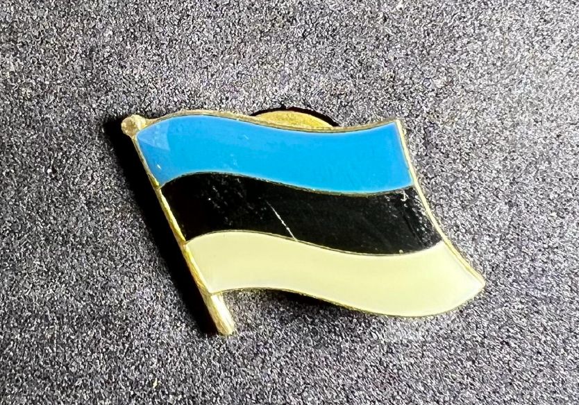 Estonia pin