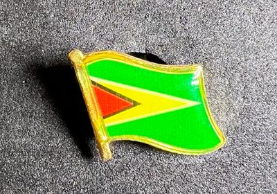 Guyana pin