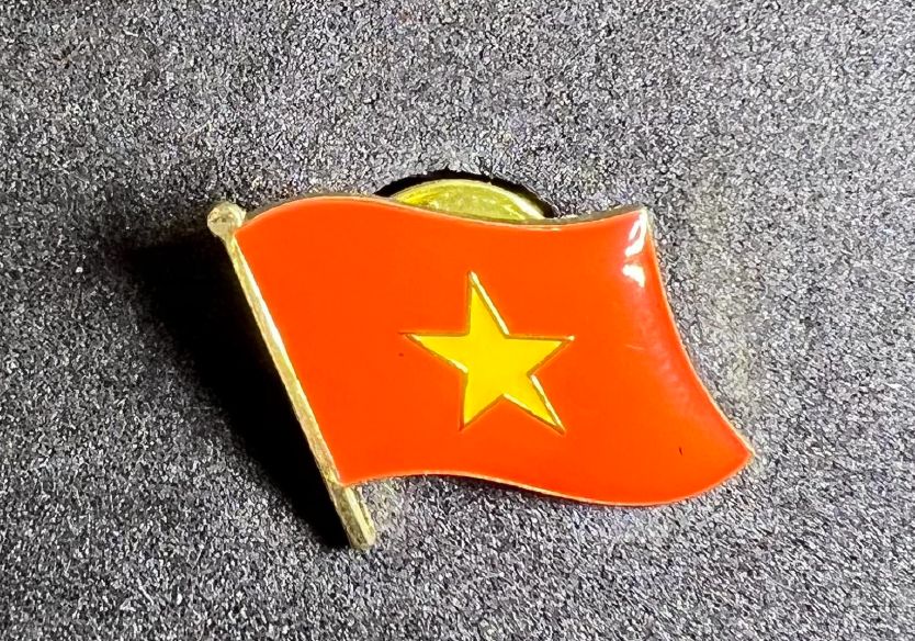 Vietnam pin