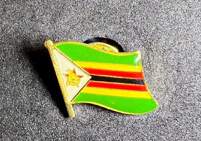 Zimbabwe pin